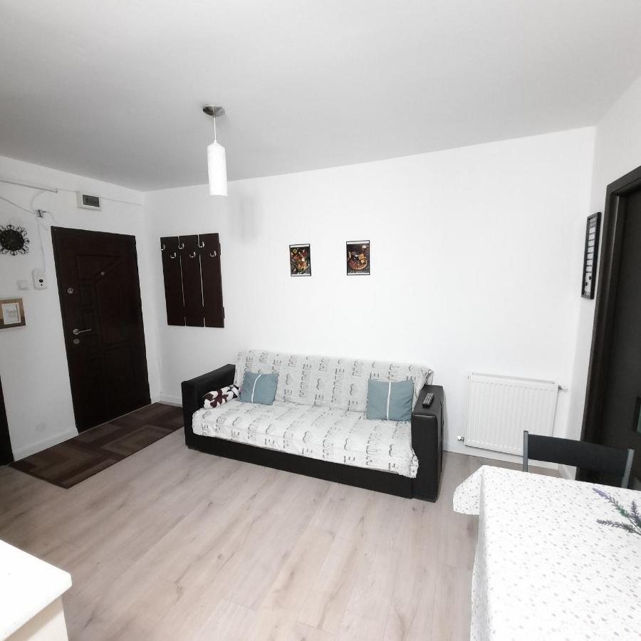 Apartament Kepa Din Piatra Neamţ Buitenkant foto